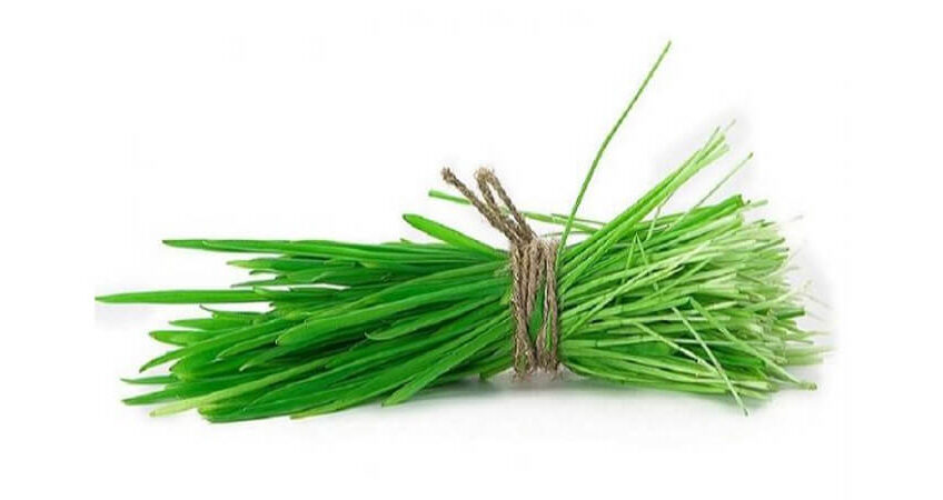 doorva grass