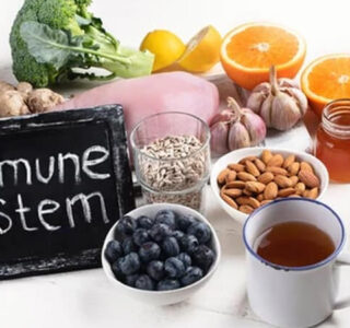 Immune System