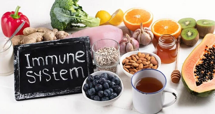 Immune System