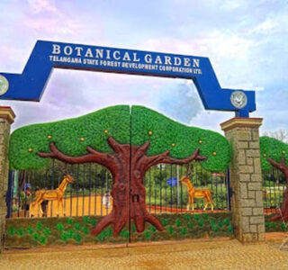 Botanical Garden
