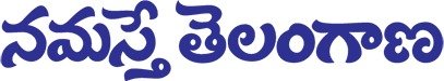 ntnews-logo